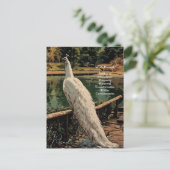 スピリチュアルホワイトピーコックバード感動的引用文 ポストカード (スタンド正面)