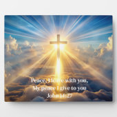 スピリチュアル斑 フォトプラーク (正面)