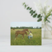 スピリッツのポストカードの交換 ポストカード (スタンド正面)