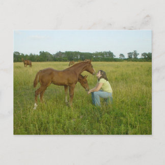 スピリッツのポストカードの交換 ポストカード