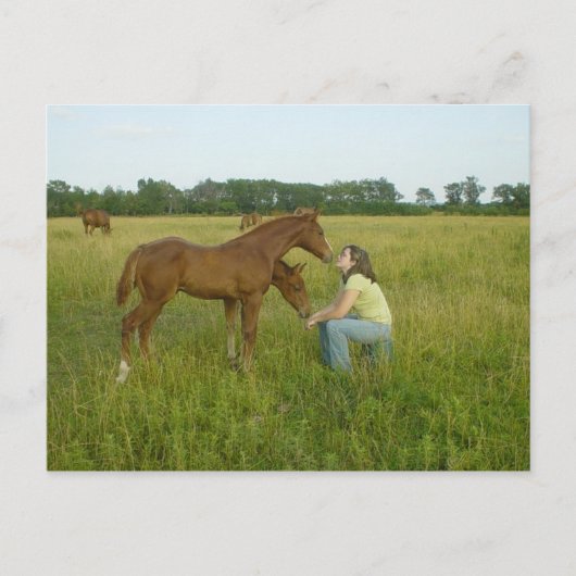 スピリッツのポストカードの交換 ポストカード (正面)