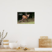 スピリットのポスターで生きる ポスター (キッチン)