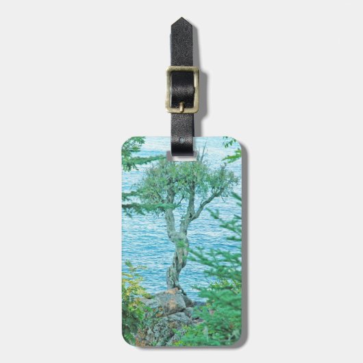 スピリットツリーレイクスーペリア簡単IDパーソナル ラゲッジタグ (正面縦)