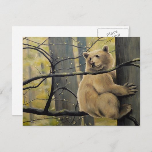 スピリットベアはがきカーモードベアアートはがき ポストカード (正面/裏面)
