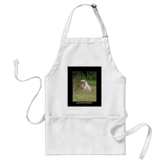 スピリットベアーギフト スタンダードエプロン (正面)