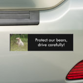 スピリットベアーギフト バンパーステッカー (車上)