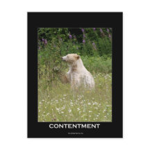 スピリットベアーギフト