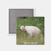スピリットベアーギフト マグネット (正面/裏面)