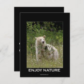 スピリットベア招待状カード 招待状 (正面/裏面)