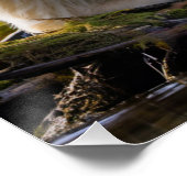 スピリットベア ポスター (コーナー)