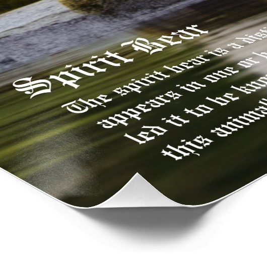 スピリットベア ポスター (コーナー)