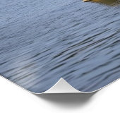 スピリットベア ポスター (コーナー)