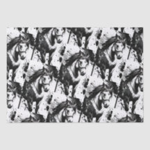 スピリットポニー9