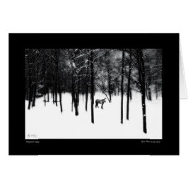 スピリット・ポニーがミストカードに