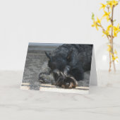 「スピリット」標準シュナウザー写真グリーティングカード カード (黄色い花)