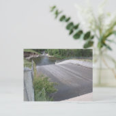 スピルウェイクローズアップビーバークリークパークポストカード ポストカード (スタンド正面)