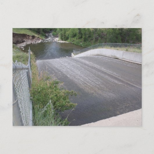 スピルウェイクローズアップビーバークリークパークポストカード ポストカード (正面)