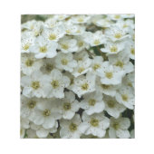 スピレアアルグータ ノートパッド (正面)