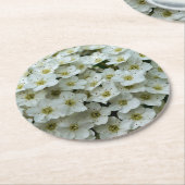 スピレアアルグータ ラウンドペーパーコースター (アングル)