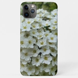 スピレアアルグータ iPhone 11 PRO MAXケース