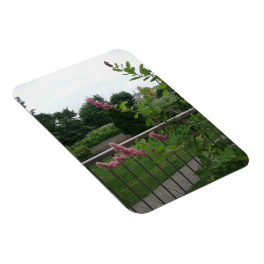 スピレア マグネット (右側)