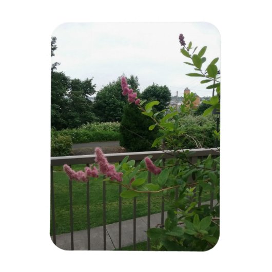 スピレア マグネット (縦)