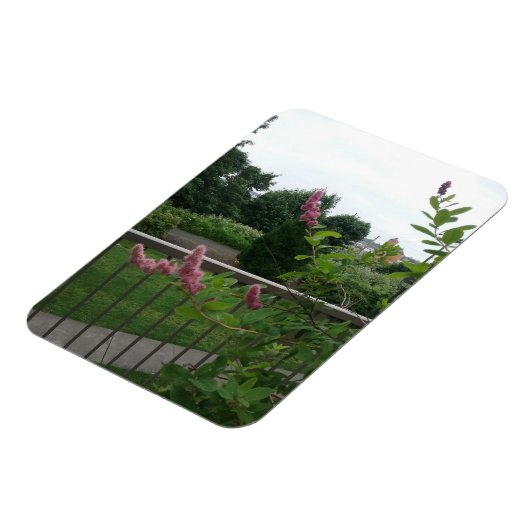 スピレア マグネット (左側)