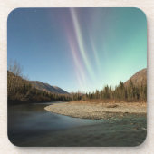 スピレスAurora コースター (正面)