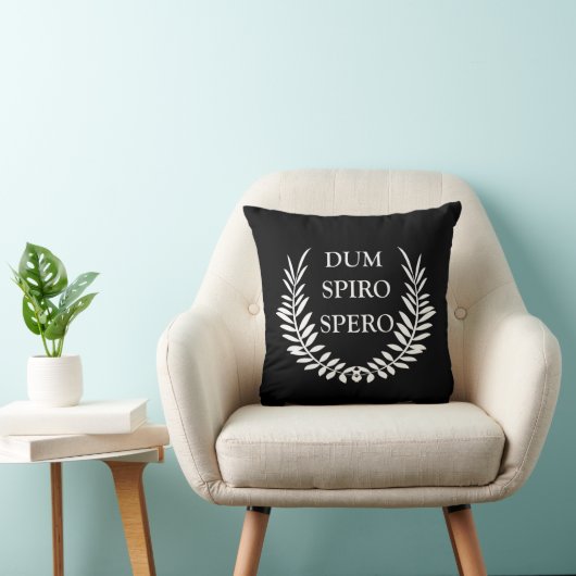 スピロ精液 クッション (椅子)