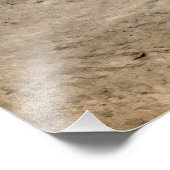 スピンドルトップ油フィールド – テキサス州1902 フォトプリント            (角)