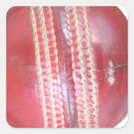 スピンマスターの球:おもしろい離れスクリケットボール スクエアシール (正面)