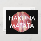 スピンマスターの球:おもしろい離れスクリケットボール ポストカード (正面/裏面)