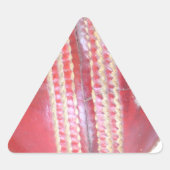 スピンマスターの球:おもしろい離れスクリケットボール 三角形シール (正面)