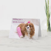 スピーディな回復を願うスパニエルカード カード (正面)