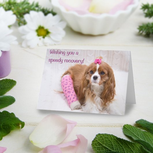 スピーディな回復スパニエル犬 カード