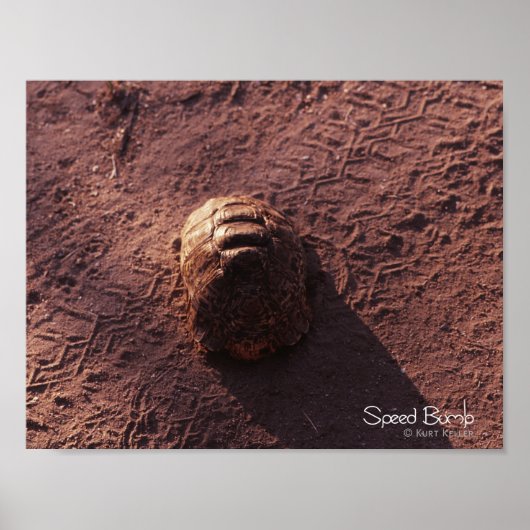 スピードバンプ ポスター (正面)
