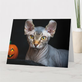 スフィンクスのエルフ猫の写真 ハッピーハロウィンカード サンキューカード