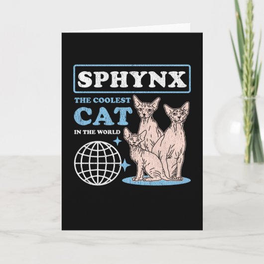 スフィンクスクールキャット | Sphynx Cats カード (正面)