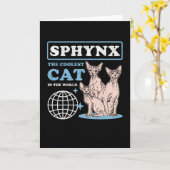 スフィンクスクールキャット | Sphynx Cats カード (黄色い花)