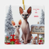 スフィンクスパーソナライズされたファミリー飾り セラミックオーナメント (正面)