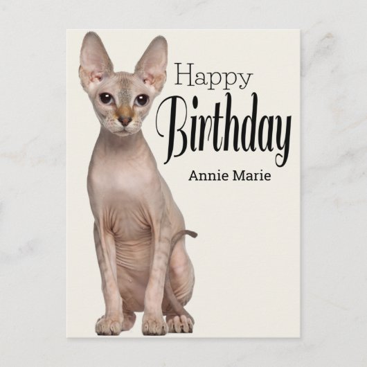 スフィンクス子猫パーソナライズされた誕生日はがき ポストカード (正面)