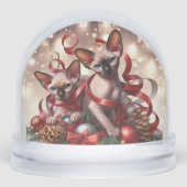 スフィンクス子猫 (正面)