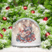 スフィンクス子猫 (クリスマス)