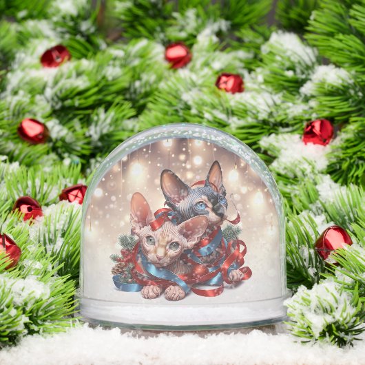 スフィンクス子猫 (クリスマス)