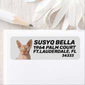 スフィンクス毛のない猫差出人住所ラベル ラベル (インサイチュ)