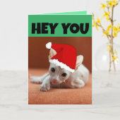 スフィンクス毛抜き猫クリスマスカード カード (黄色い花)