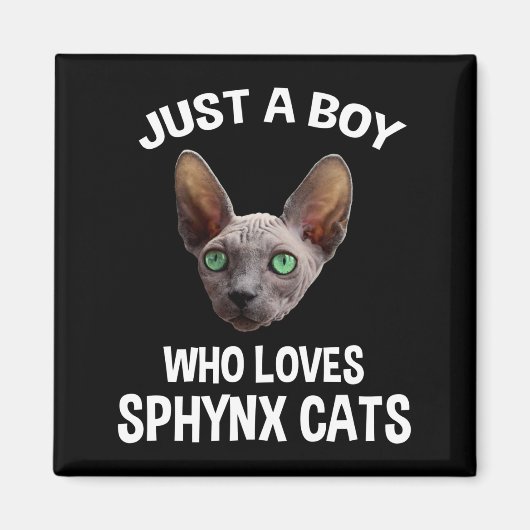 スフィンクス猫が大好きな男の子 マグネット (正面)
