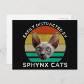 スフィンクス猫に気を取られる ポストカード (正面/裏面)