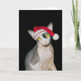 スフィンクス猫のサンタ 黒クリスマス カード