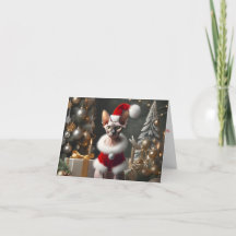 スフィンクス猫の写真クリスマスカード